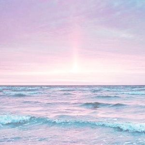 Meet your Posher, Juniper